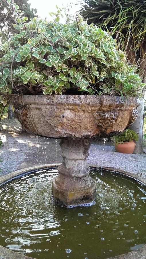 Villa Rural El Poleo D&R Con Piscina Climatizada Privada Y Solarium Pico de Viento Exterior foto